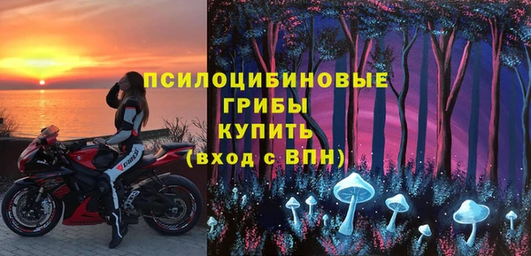 мяу мяу мука Баксан
