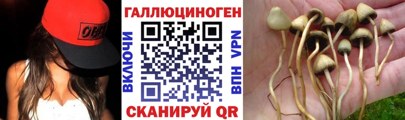 Псилоцибиновые грибы ЛСД  даркнет сайт  Воскресенск 